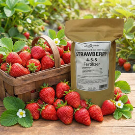 Organic Strawberry Fertilizer, Fertilizers